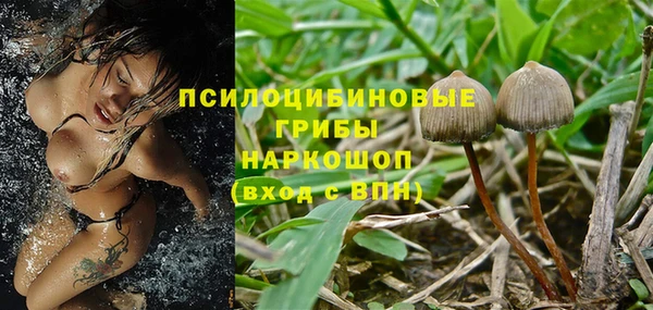 2c-b Беломорск