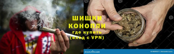 PSILOCYBIN Белокуриха