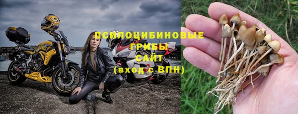 PSILOCYBIN Белокуриха
