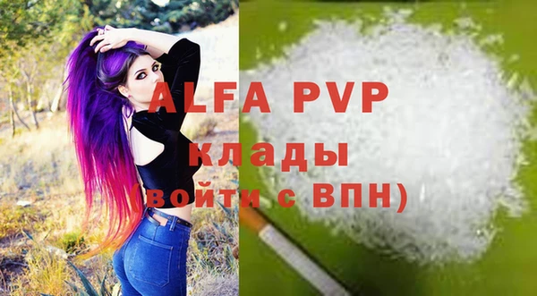 PSILOCYBIN Белокуриха
