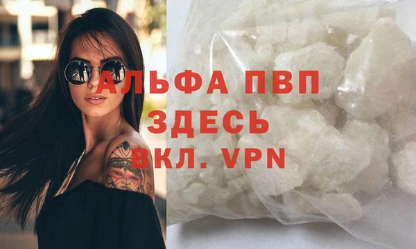 PSILOCYBIN Белокуриха